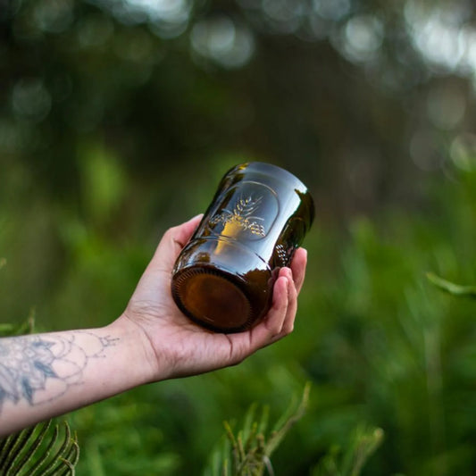 6 Vasos de Botella Torobayo