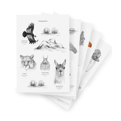 Pack Stickers Ecosistemas (46 unidades)